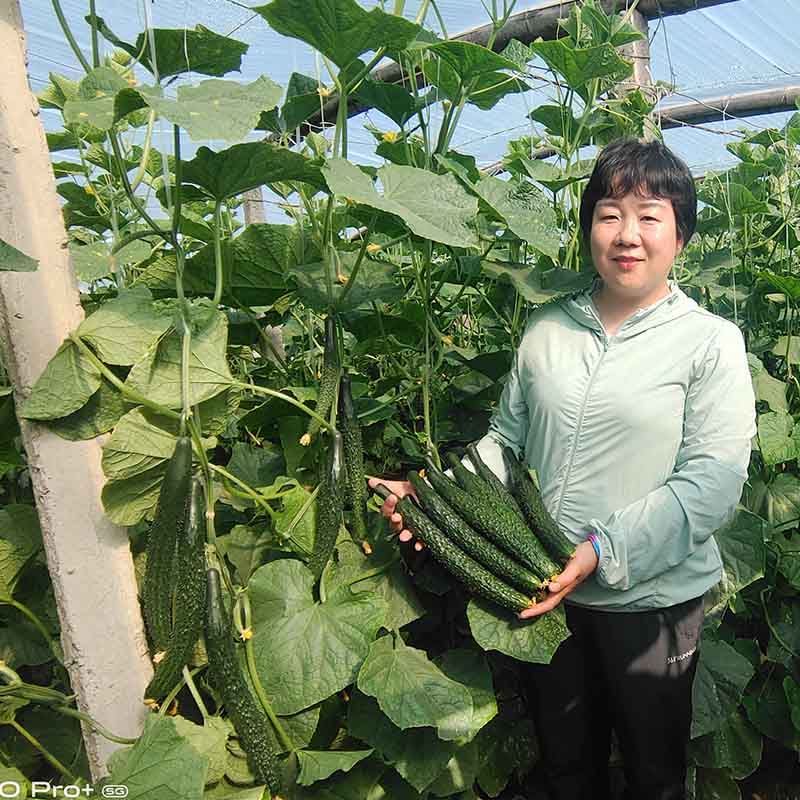 黑優901